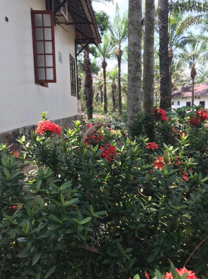 Quang Tri Palm Garden House酒店 外观 照片