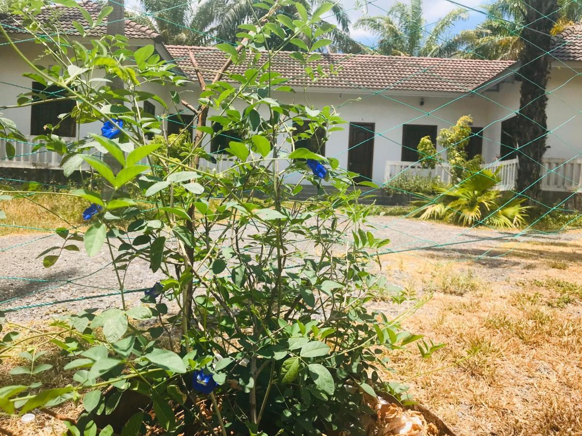 Quang Tri Palm Garden House酒店 外观 照片