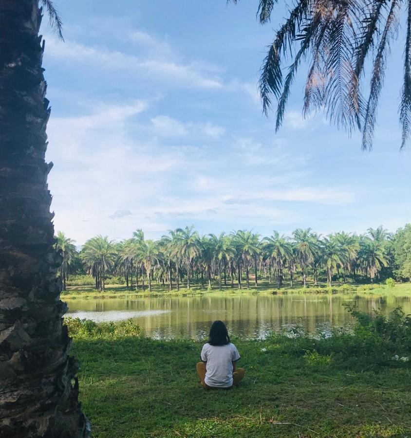 Quang Tri Palm Garden House酒店 外观 照片