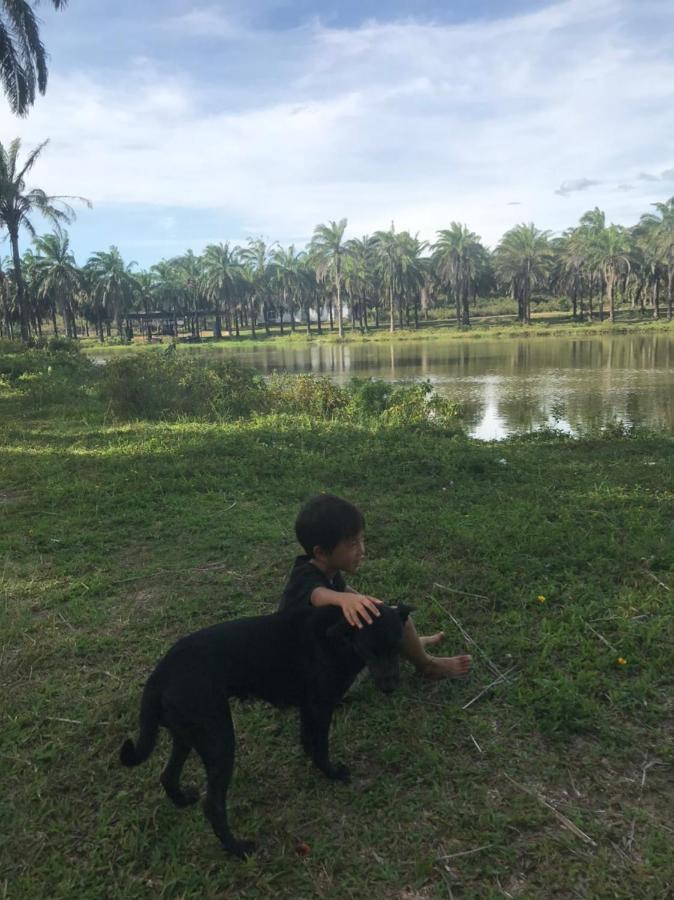 Quang Tri Palm Garden House酒店 外观 照片