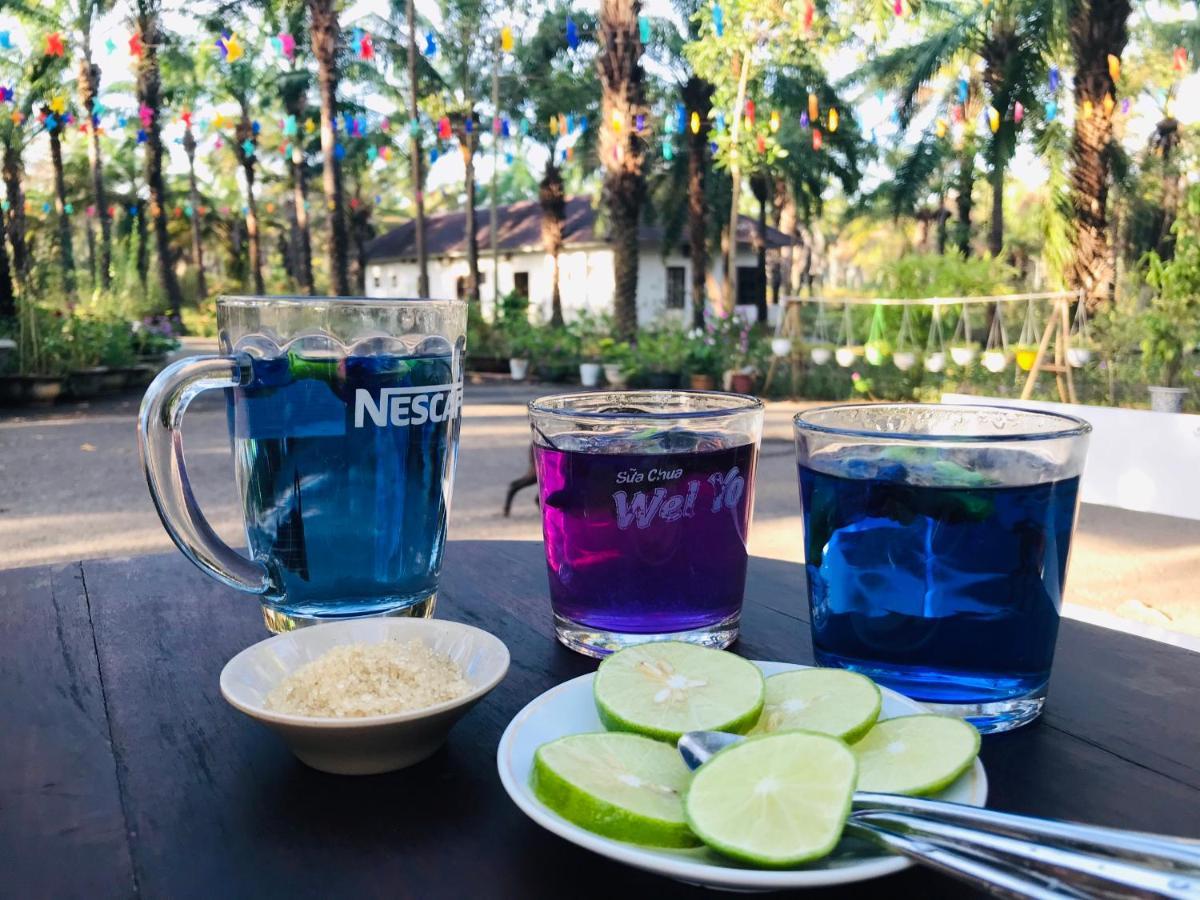 Quang Tri Palm Garden House酒店 外观 照片