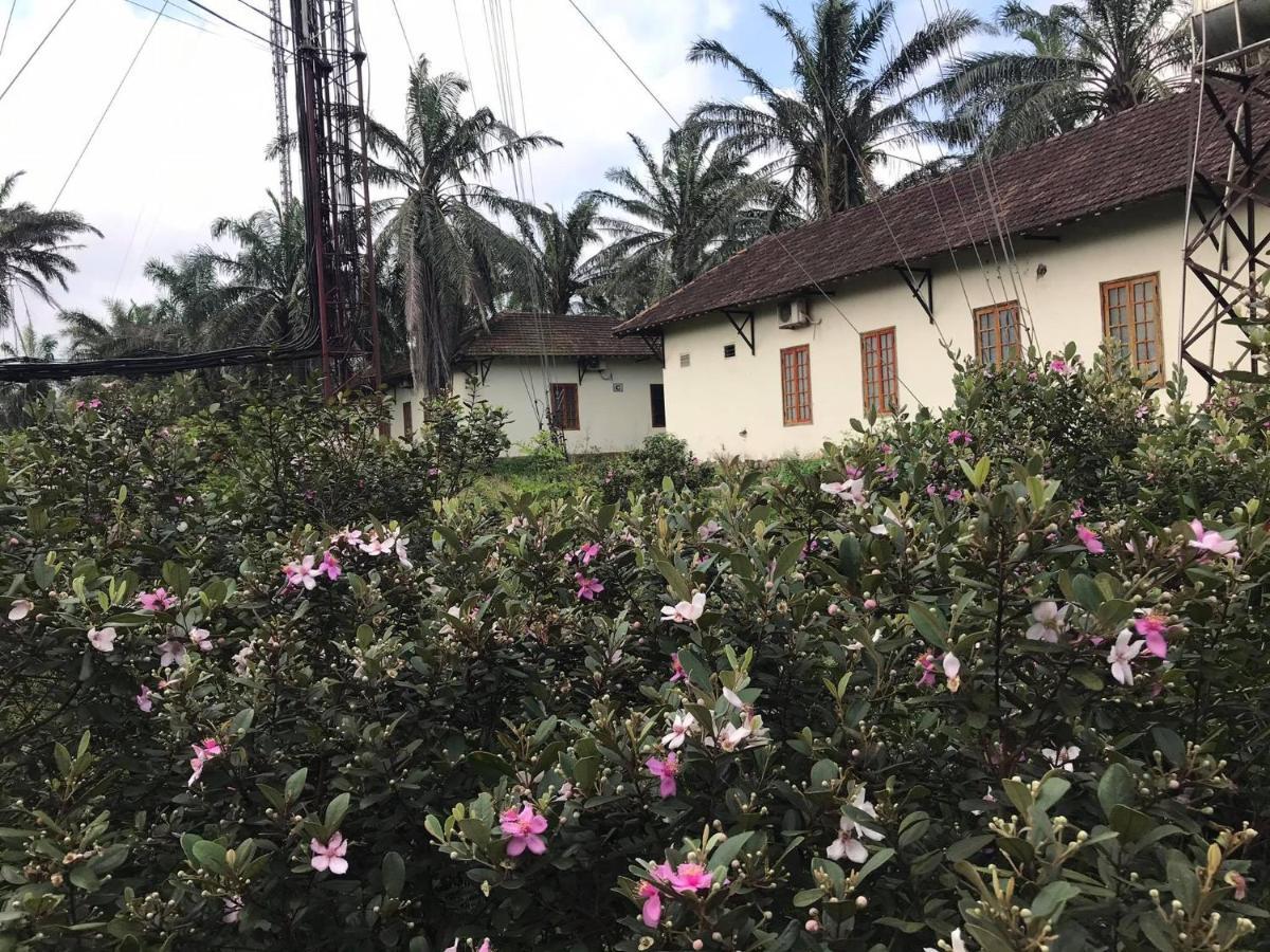 Quang Tri Palm Garden House酒店 外观 照片