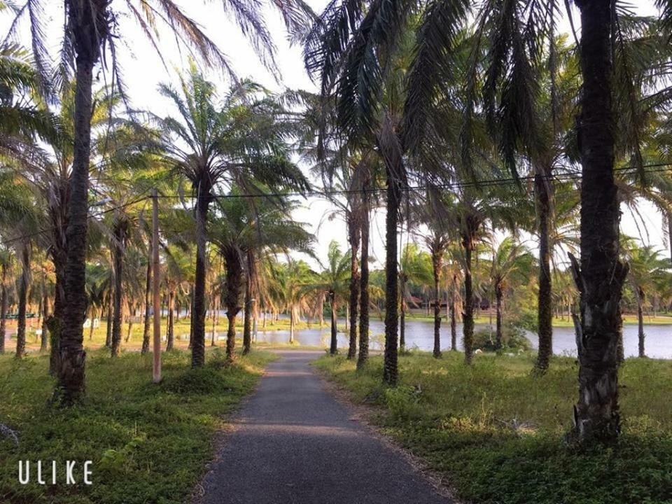 Quang Tri Palm Garden House酒店 外观 照片