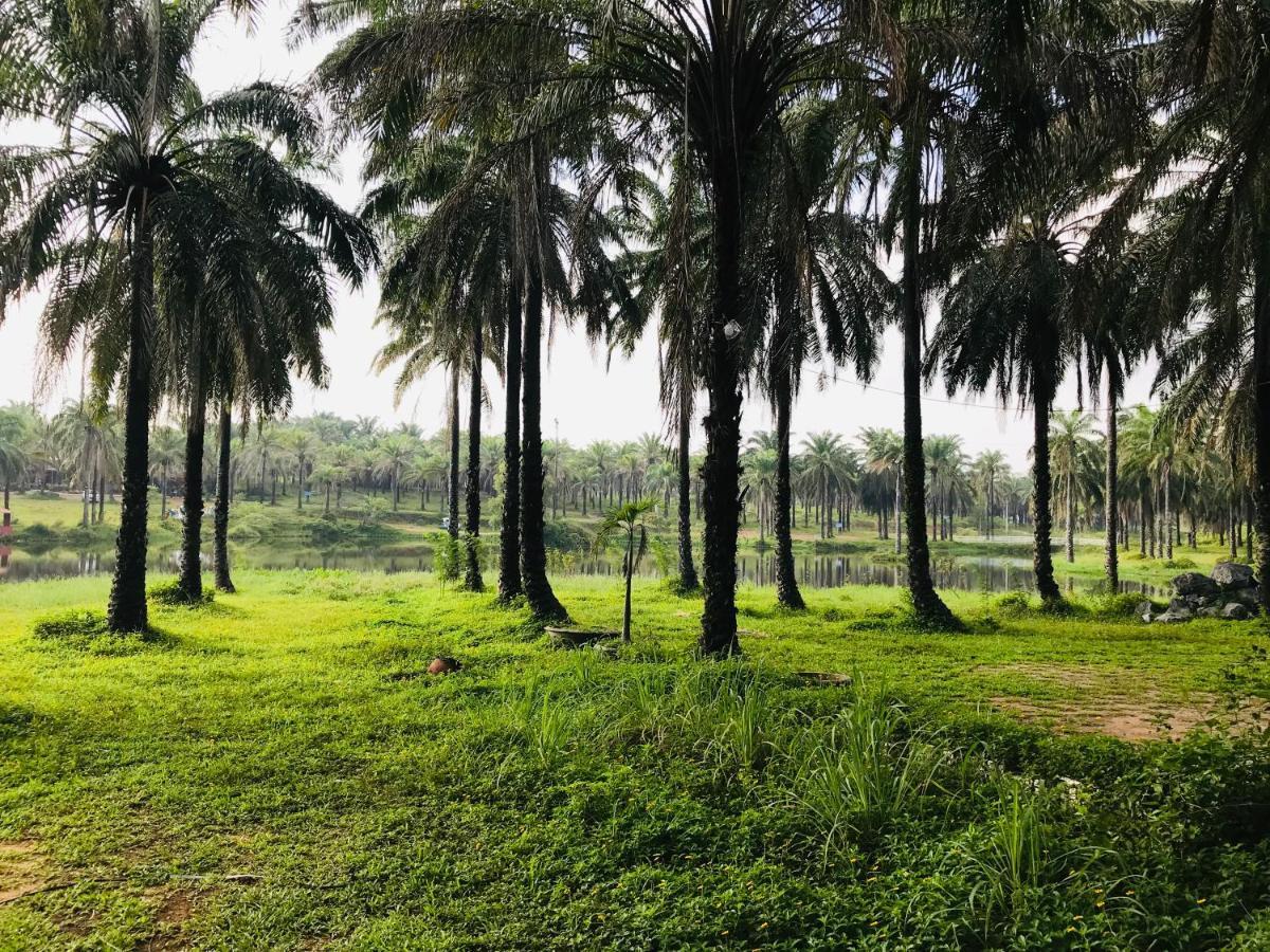 Quang Tri Palm Garden House酒店 外观 照片