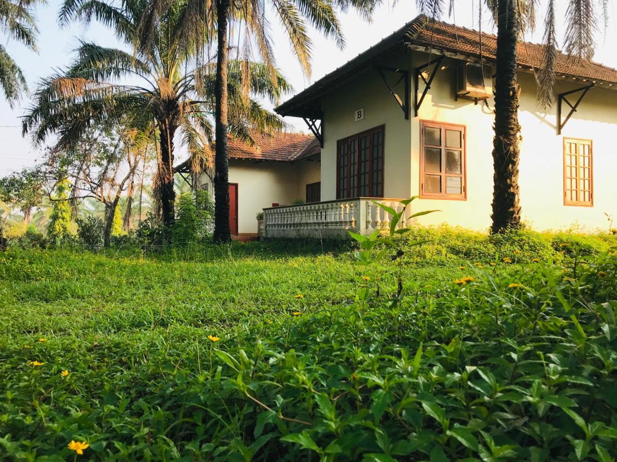 Quang Tri Palm Garden House酒店 外观 照片